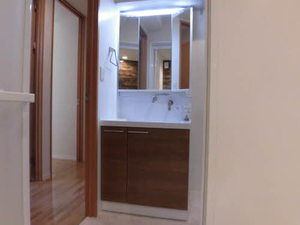 丸花見壱号館 0203号-11