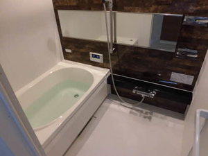 丸花見壱号館 0203号-12