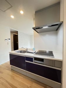 丸花見壱号館 0302号-10