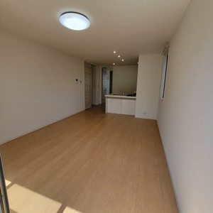 ＳｕｎＷｏｏｄ　Ｎｅｏ 0201号-8