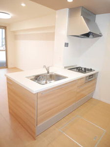 ＬＡＳＱアパートメント 0103号-3