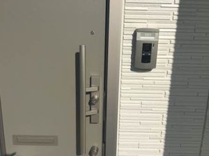 プロヌーブ　フィーリア 0101号-2