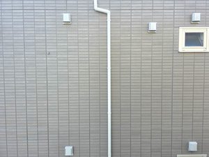 Ｍ．Ｆｌａｔ‐草薙 K301号-13