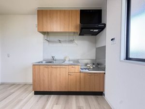 メゾン安田 0103号-6