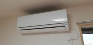 Ｌａ　Ｆｌｏｒａｉｓｏｎ 0102号-7