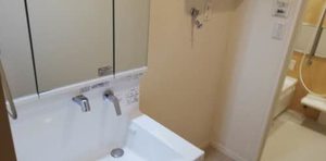 Ｌａ　Ｆｌｏｒａｉｓｏｎ 0102号-9