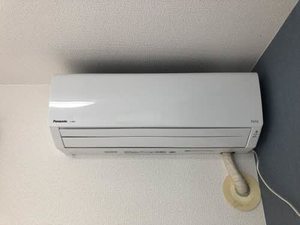 ディアスちごちご A203号-4