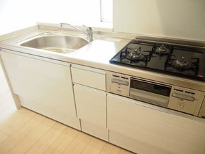 ルミナス 0101号-6