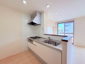 シェルトⅢ 0102号-5