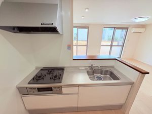 シェルトⅢ 0102号-6