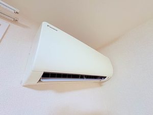 シェルトⅢ 0102号-15