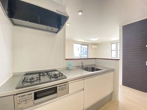 シェルトⅢ 0103号-8