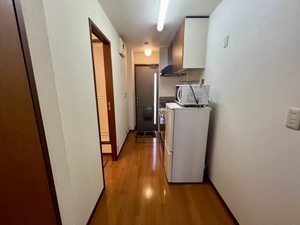 ＷＡＶＥ　ＶｅｒｄｕｒｅⅢ 0102号-8