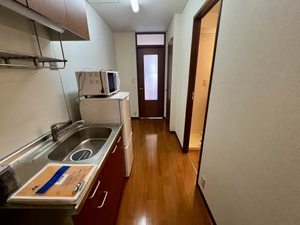 ＷＡＶＥ　ＶｅｒｄｕｒｅⅢ 0102号-9