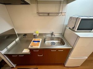 ＷＡＶＥ　ＶｅｒｄｕｒｅⅢ 0102号-10