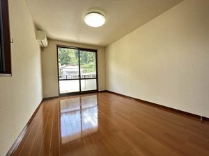 ＷＡＶＥ　ＶｅｒｄｕｒｅⅢ 0202号-3