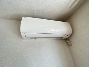 ＷＡＶＥ　ＶｅｒｄｕｒｅⅢ 0202号-8