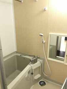 サンライフ軽井沢 S101号-9