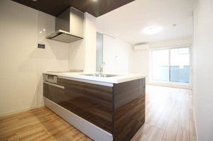 ドミールブラシェ 0301号-4