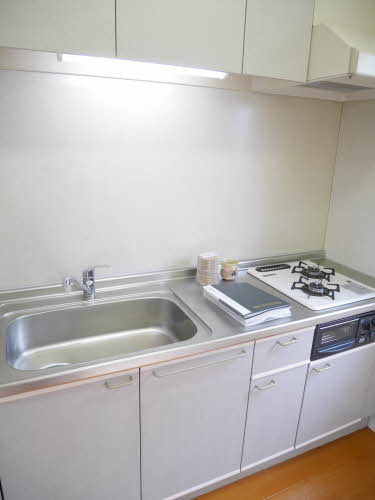 ルミエール城西 A102号-3