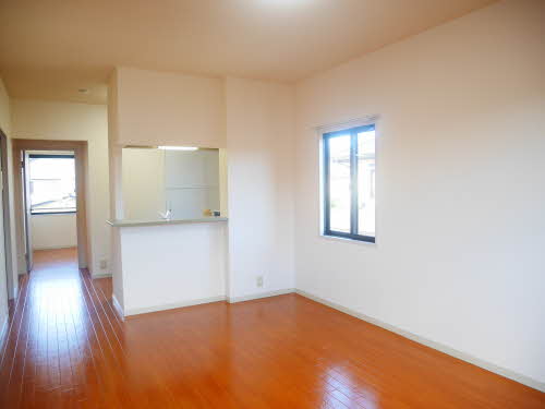 セルビア久美 0202号-5