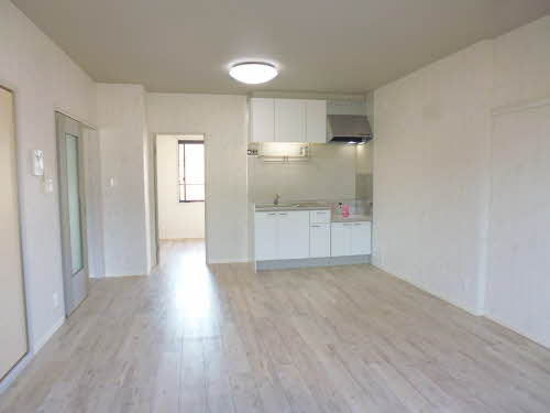 セントポーリア A202号-8