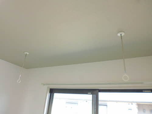 セントポーリア A202号-14