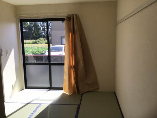 フレグランス白樺 0102号-4