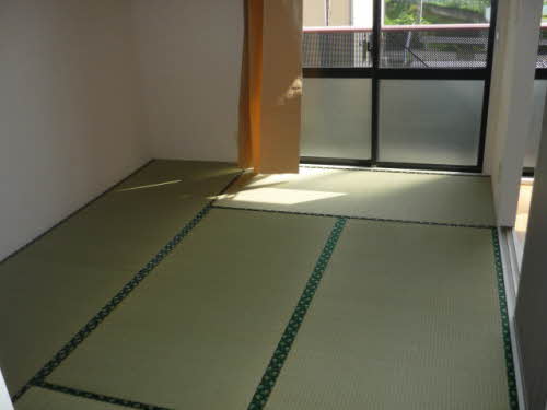 フレグランス白樺 0201号-5