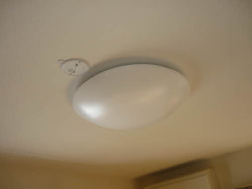 フレグランス白樺 0201号-13