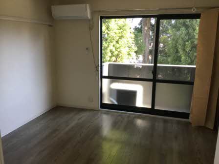 フレグランスホワイトハーベスト C202号-2