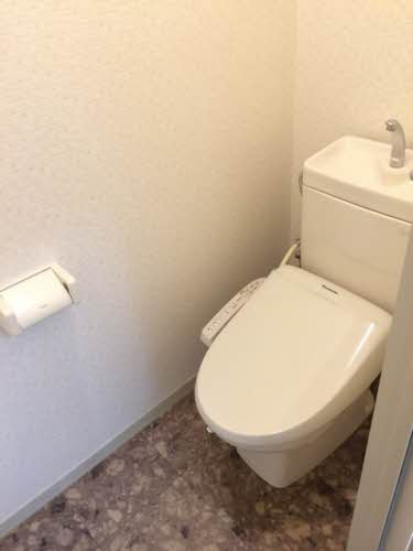 プラセール柳 0203号-5