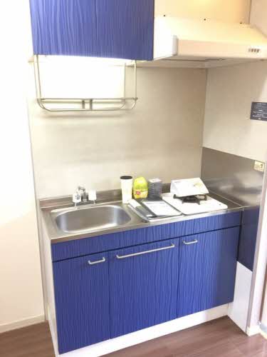 プラセール柳 0203号-6