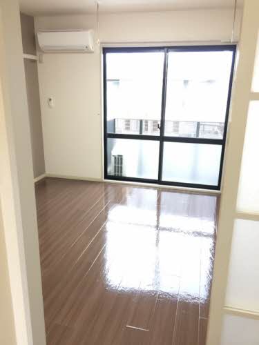 プラセール柳 0203号-8