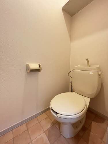 セントポーリア 0106号-5