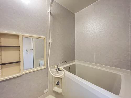 セントポーリア 0106号-6