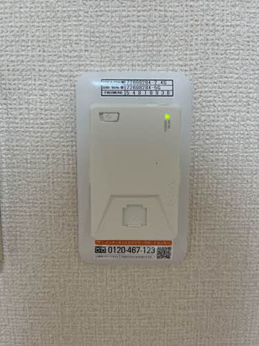 セントポーリア 0106号-7