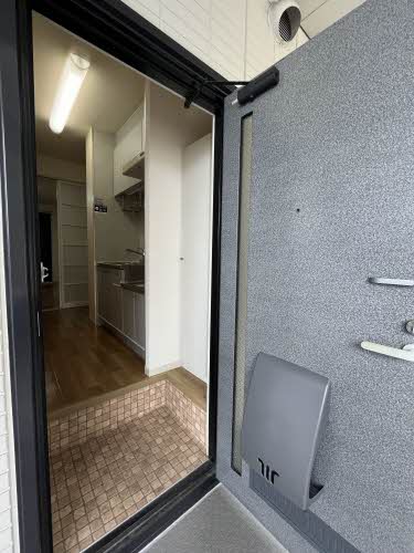 セントポーリア 0106号-8