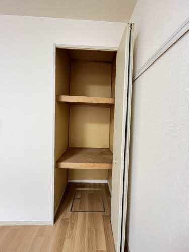 セントポーリア 0106号-11