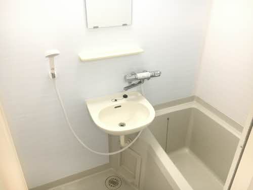 フレグランスブルーウイング 0202号-6