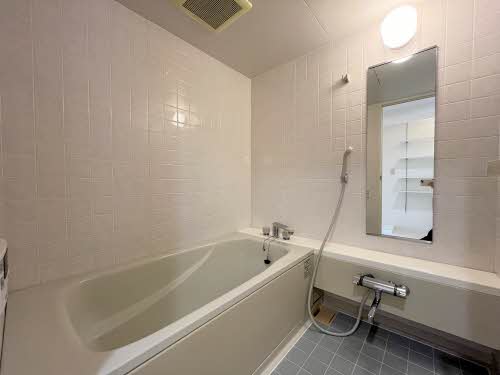 三渓ヒルズ A301号-11