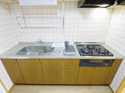 三渓ヒルズ E206号-12