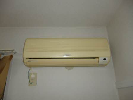 にれの木 0101号-11