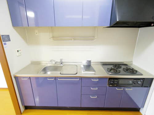 金翔レジデンスⅢ 0401号-5