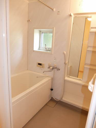 グリーンハウスＬａｔｔｅ D101号-11