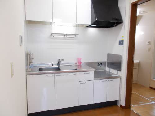 パルミールドゥー 0103号-4