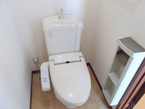 パルミールドゥー 0103号-7