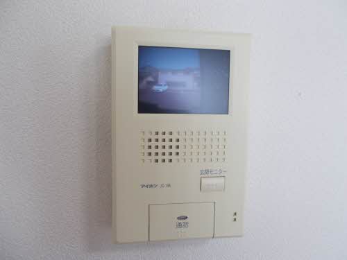 パルミールドゥー 0103号-11