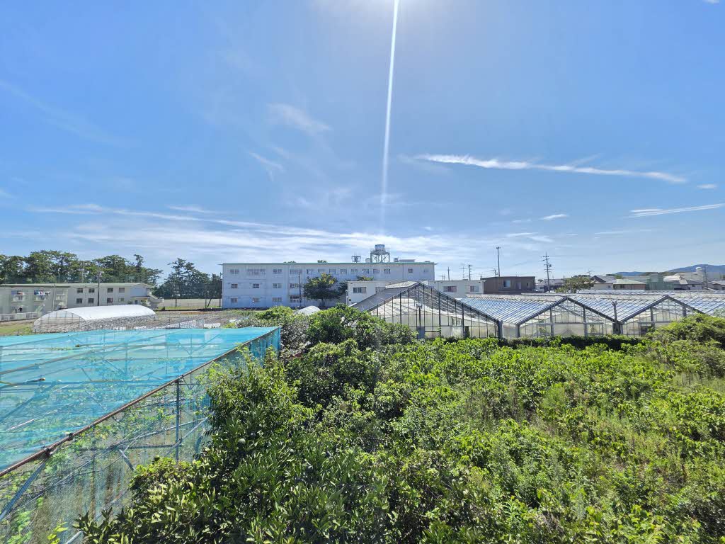 メゾンキルフェボン 0201号-13