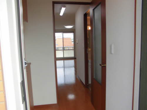 マーガレット A203号-4